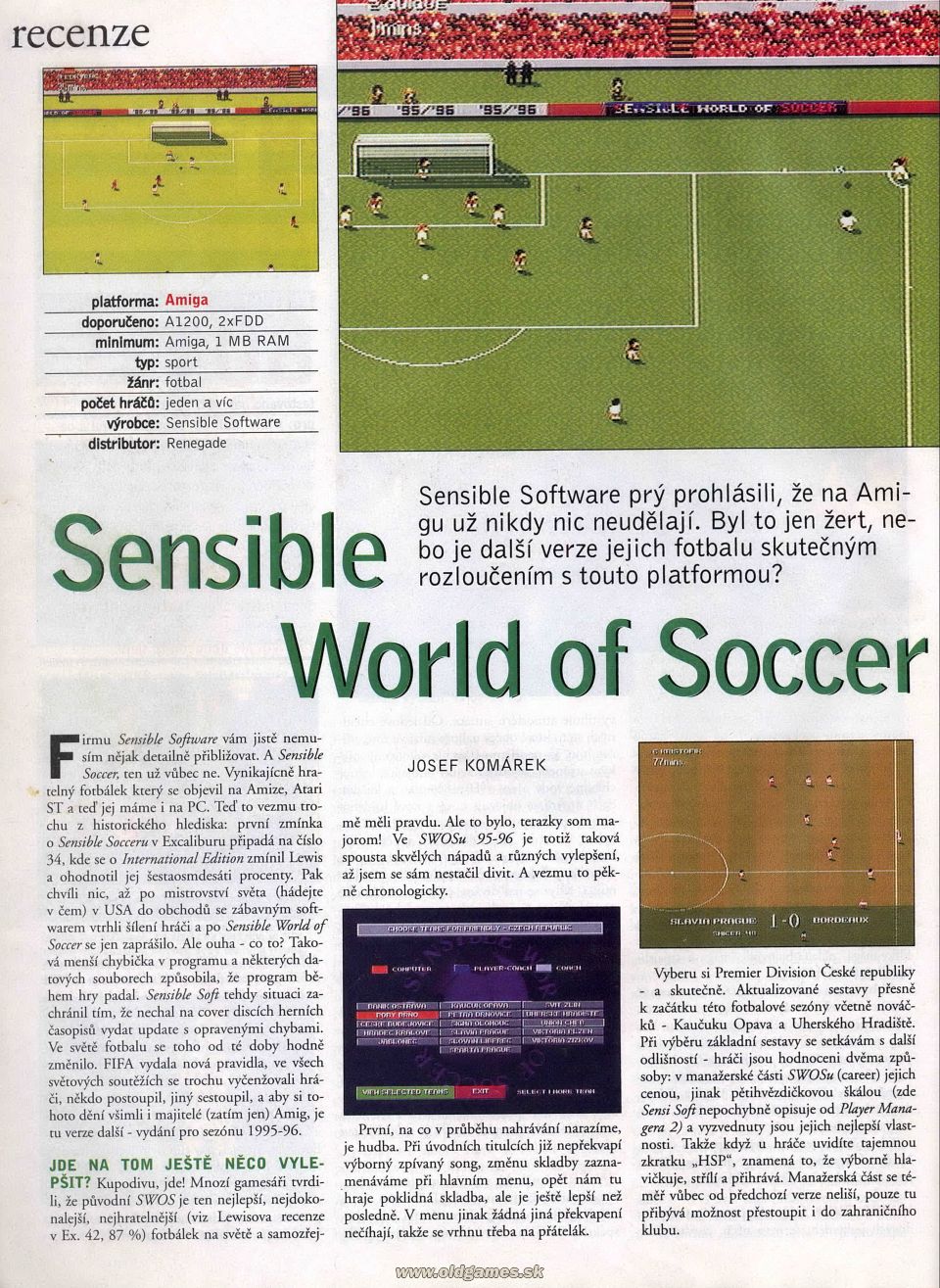 Sensible World of Soccer 95-96 Edition