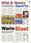 Wild and Wacky Sport, Wario Blast