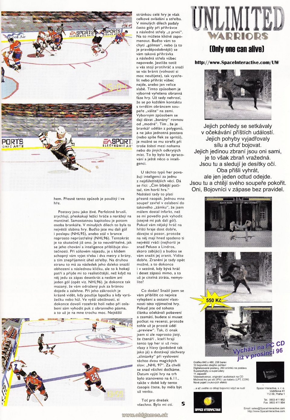 Preview: NHL Hockey 97