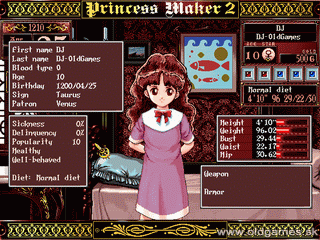 Princess Maker 2 - Princess Maker 2, PC DOS - English